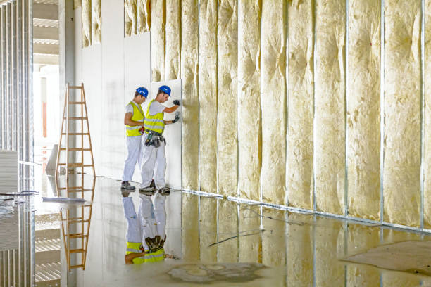 Best Commercial Insulation in Athens, MI